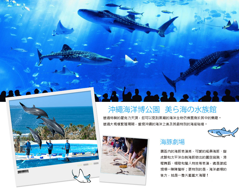 海洋博公園+美之海水族館+海豚表演