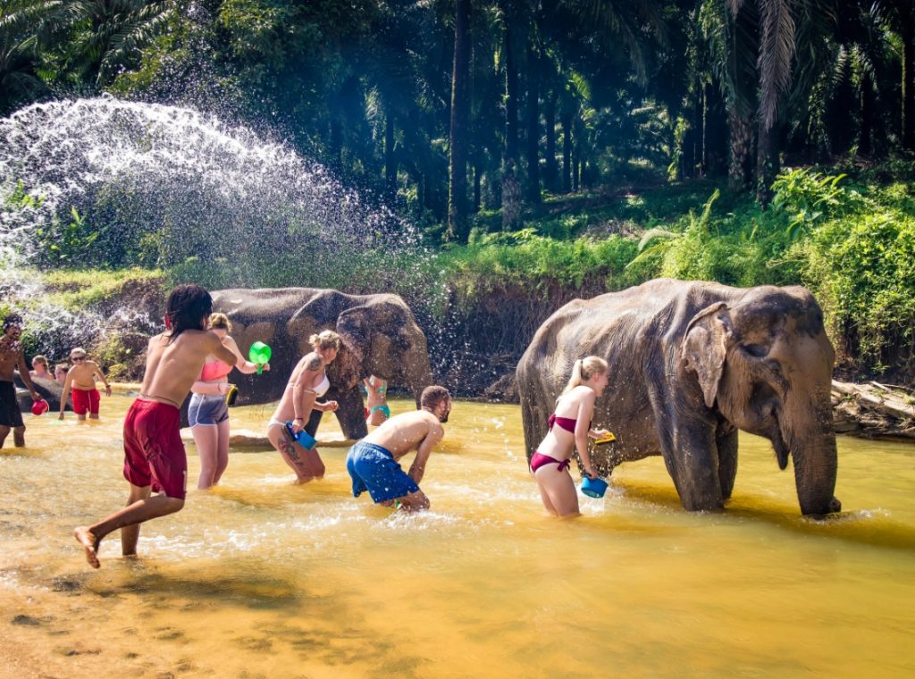 友善大象營 Elephant Jungle Sanctuary03