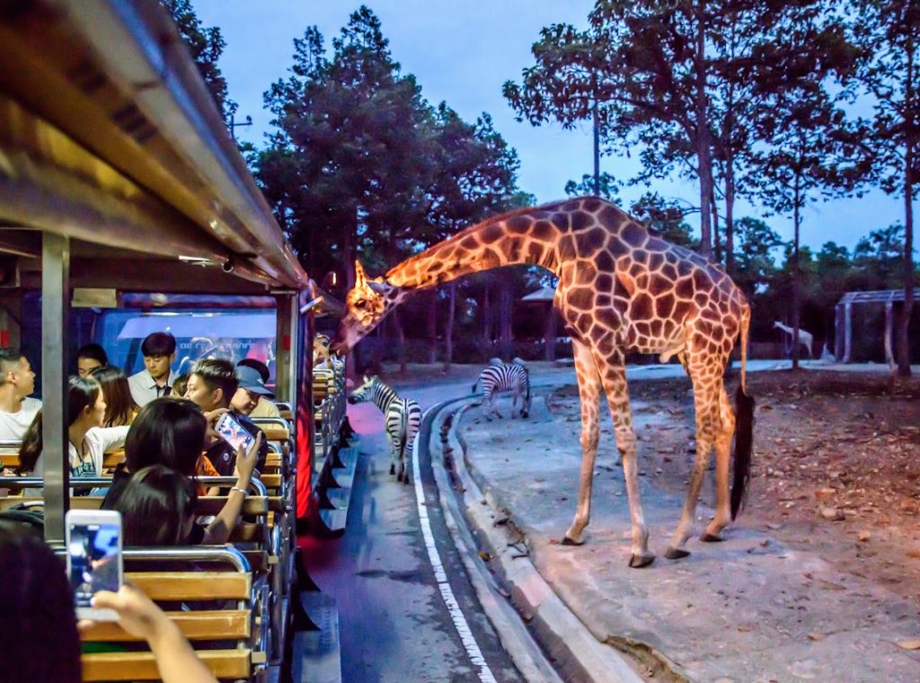 清邁夜間動物園