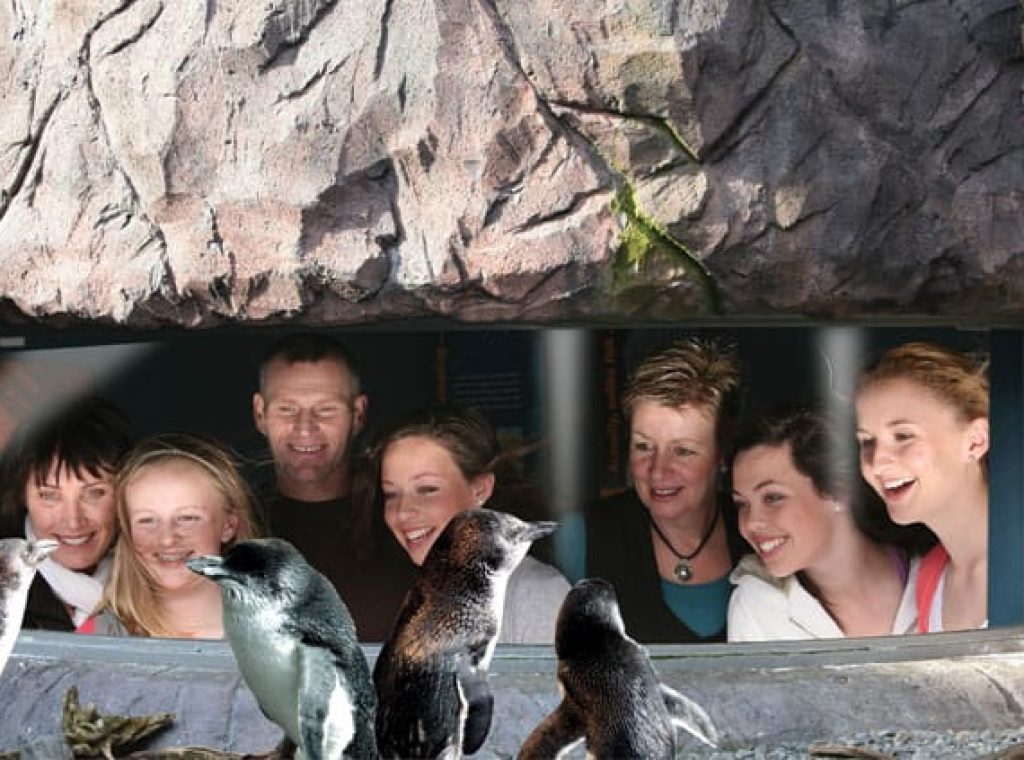 International Antarctic Centre