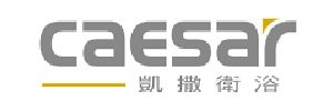 company_CAESAR