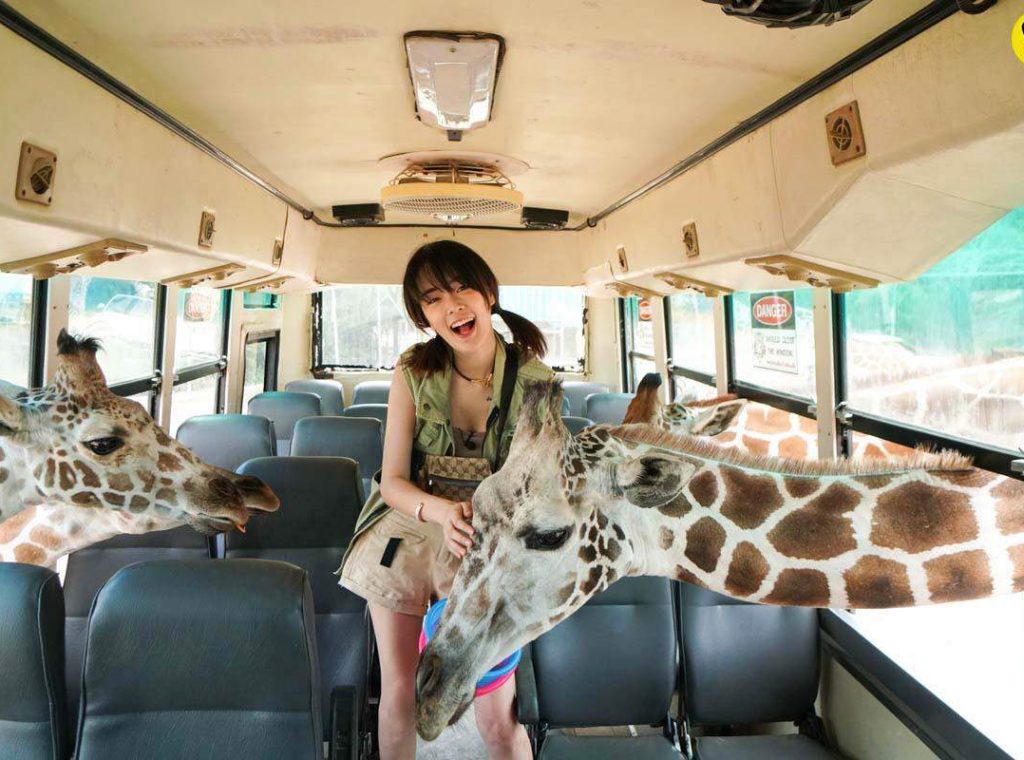 北碧府野生動物園02
