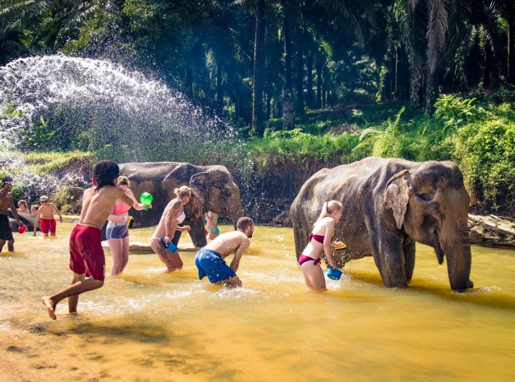 友善大象營 Elephant Jungle Sanctuary03