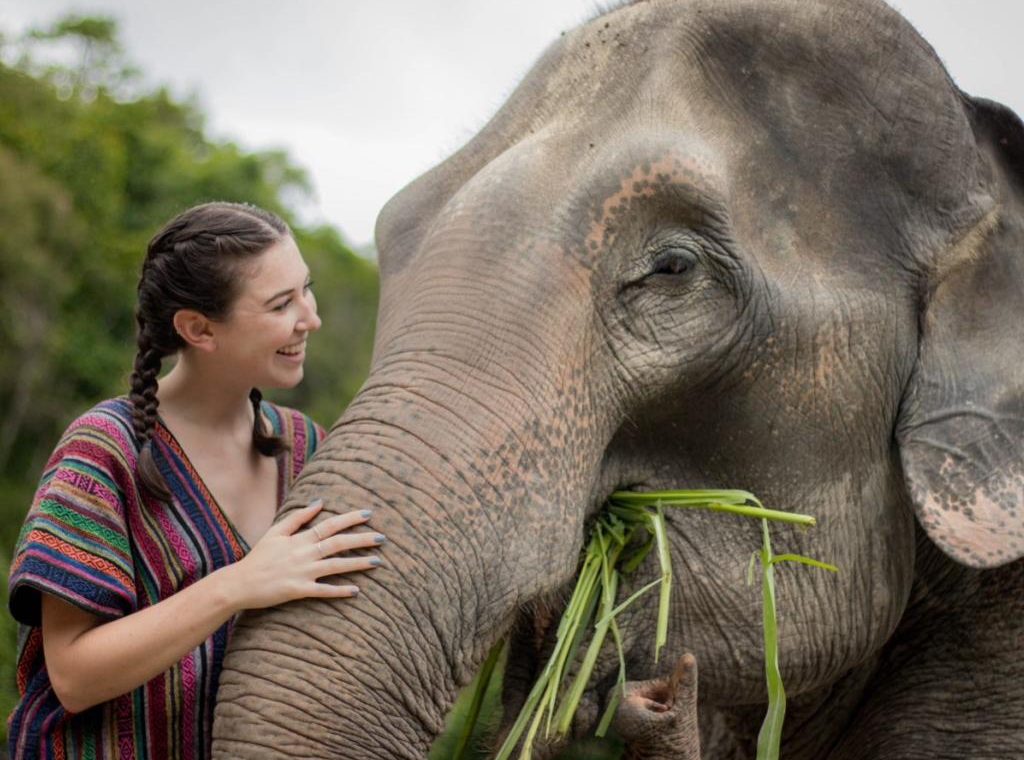 友善大象營 Elephant Jungle Sanctuary05
