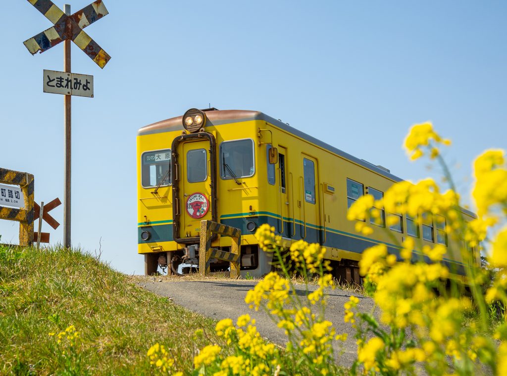 春のいすみ鉄道の踏切