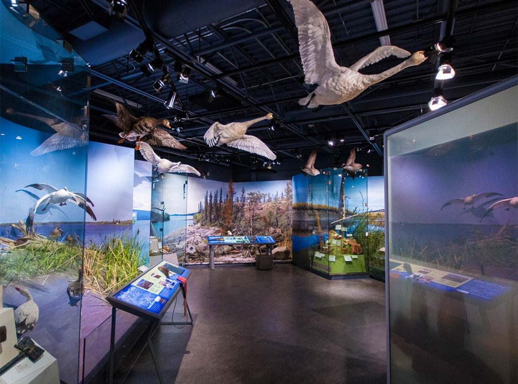 威爾士王子遺跡館 Prince of Wales Northern Heritage Centre 威爾士王子遺跡館 Prince of Wales Northern Heritage Centre