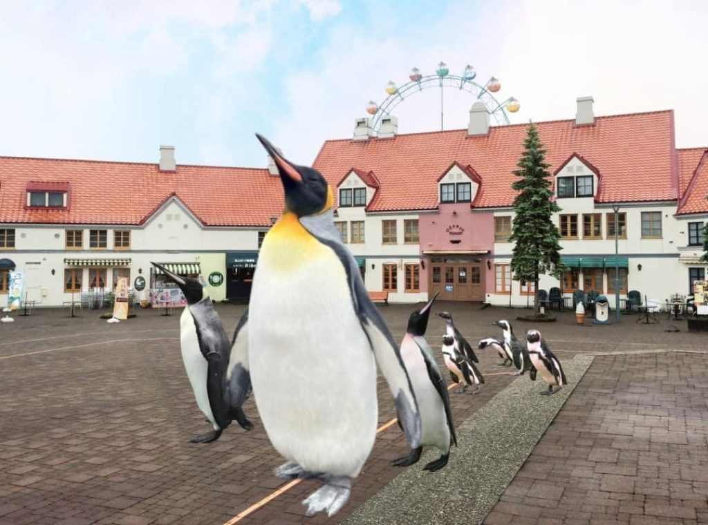 尼克斯海洋公園03