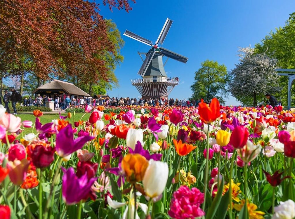 荷蘭庫肯霍夫花園Keukenhof