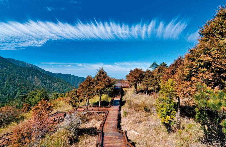 雲霧步道