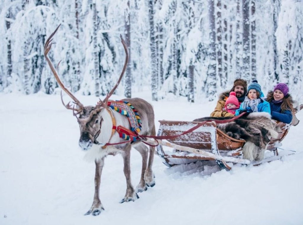 馴鹿雪橇 Reindeer Safari