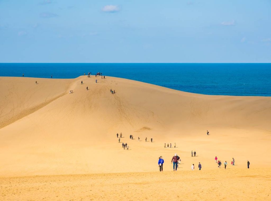 Tottori,Sand,Dune,In,Autumn,,Japan